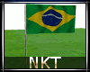 Brazilian flag furniture