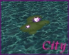 (C75) Water Lillies 1