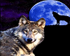 fullmoon wolf poster