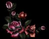 Gothic Roses L