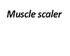 Muscle scaler lol
