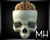 [MH] Skull & Brain