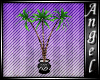 L$A D* Potted Palm Tree