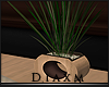 DX Ambre plant