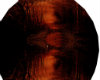 .:Hells Forest Dome:.