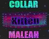 Kitten | Galaxy