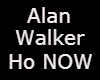 alan/walker/emelie/lily