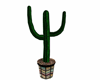 Huggle Cactus