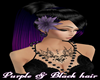 Purple & Black hair
