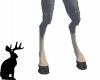 female donkey legs