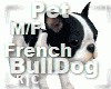 French BullDog M/F