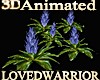 5 Animated Bromeliads 14