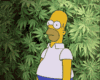 Marijuana
