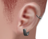 D4. Silver Earrings (L)