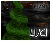 [LyL]Elation Topiary