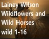 Lainey WIlson Wildflower