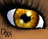 DW1 Eyes {GOLD}