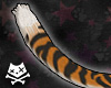 Siberian Tiger Tail M&F