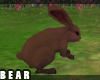 B l Pet The Bunny Brown