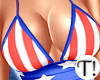 T! 4th July Set v3