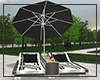 N. Pool Loungers B&W