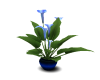 Blue Lily PLanter