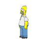 Simpsons: Homer: Woohoo