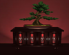 Oriental Bonsai Cabinet