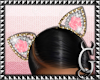 G. SAINTS/ Cat Ears Up