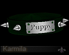 Puppies Collar