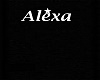 Alexa Thic Necklace (M)