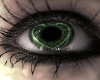 Eyes....... -[K]