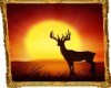Deer Foto Lijst