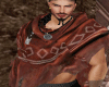 VIKING/brown leather
