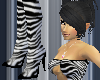 Wild Side Zebra Bundle