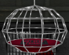 Prison Dance Cage