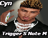 Trigger S Notes M