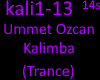 Ummet Ozcan - Kalimba