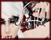 {TNS} Hylde Auburn