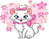 Cute Kitten Marie