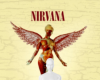 Nirvana B/G