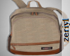 ZRL - BEIGE EASTPAK BAG