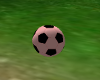 CCP Pink Soccer Ball