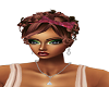 Missy Cinnamon Blend 