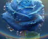 blue rose nails