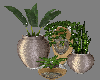 FG~ Modern Plants + Vase