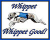 Whippet Good!