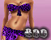 BDD Purple Leopard Bikin