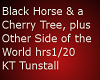 Black Horse & A Cherry