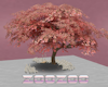 Tree with swing